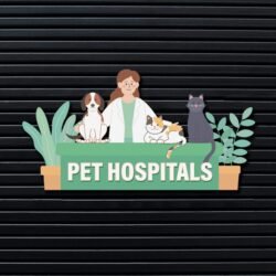 Veterinary Cat Dog Services