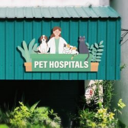 Veterinary Cat Dog Services