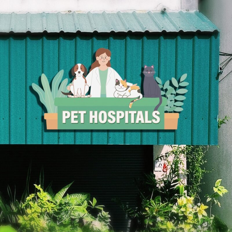 Veterinary Cat Dog Services